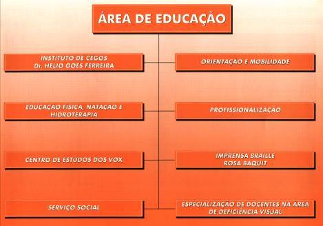 Sociedade de Assistncia aos Cegos - Relatrio de Atividades - 2000