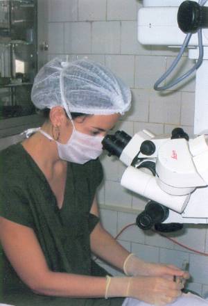 Relatório de Atividades 2005