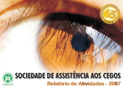 Sociedade de Assistncia aos Cegos - Relatrio de Atividades - 2007