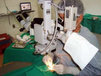 Relat�rio de Atividades 2009